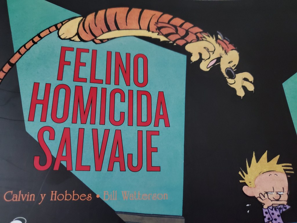 FELINO HOMICIDA SALVAJE