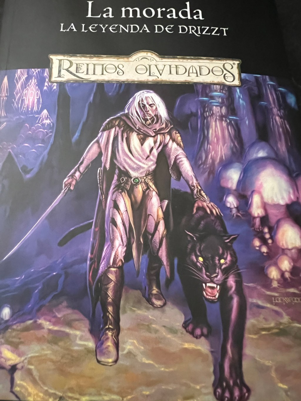 LA MORADA. EL ELFO OSCURO VOLUMEN 1 -REINOS&nbsp;OLVIDADOS