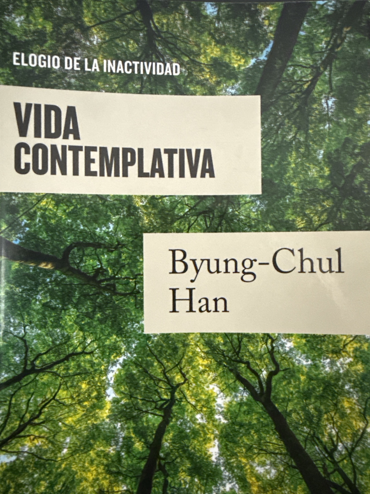 ELOGIO DE LA INACTIVIDAD. VIDA CONTEMPLATIVA.